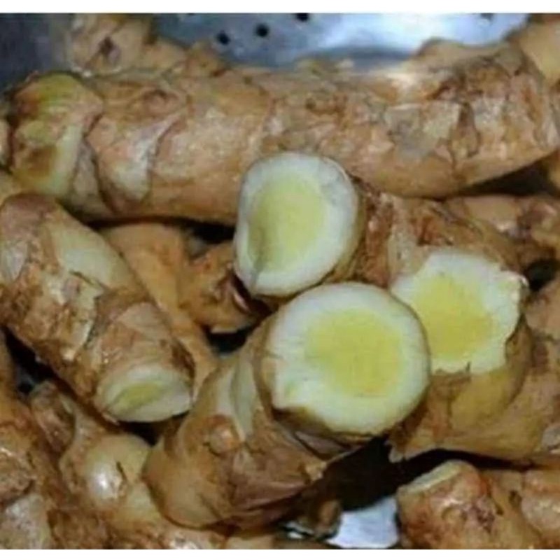 

BumiExotic Temu mangga presh 1 kg herbal