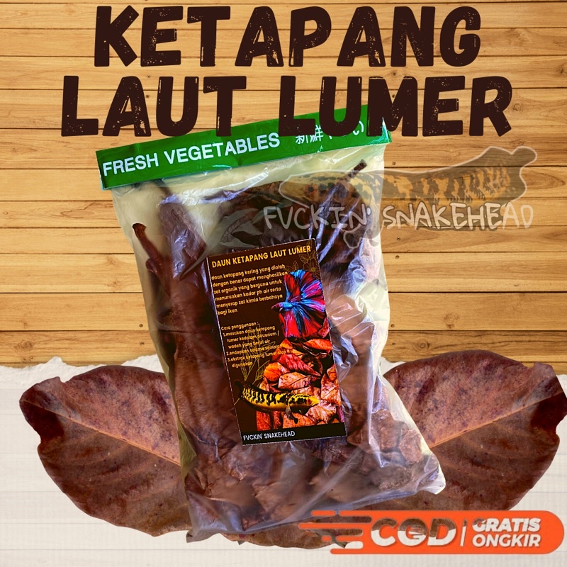 DAUN KETAPANG LAUT OLAHAN FERMENTASI KWALITAS IMPORT SUPER PEKAT LUMER COCOK UNTUK CHANNA MARU CHANN