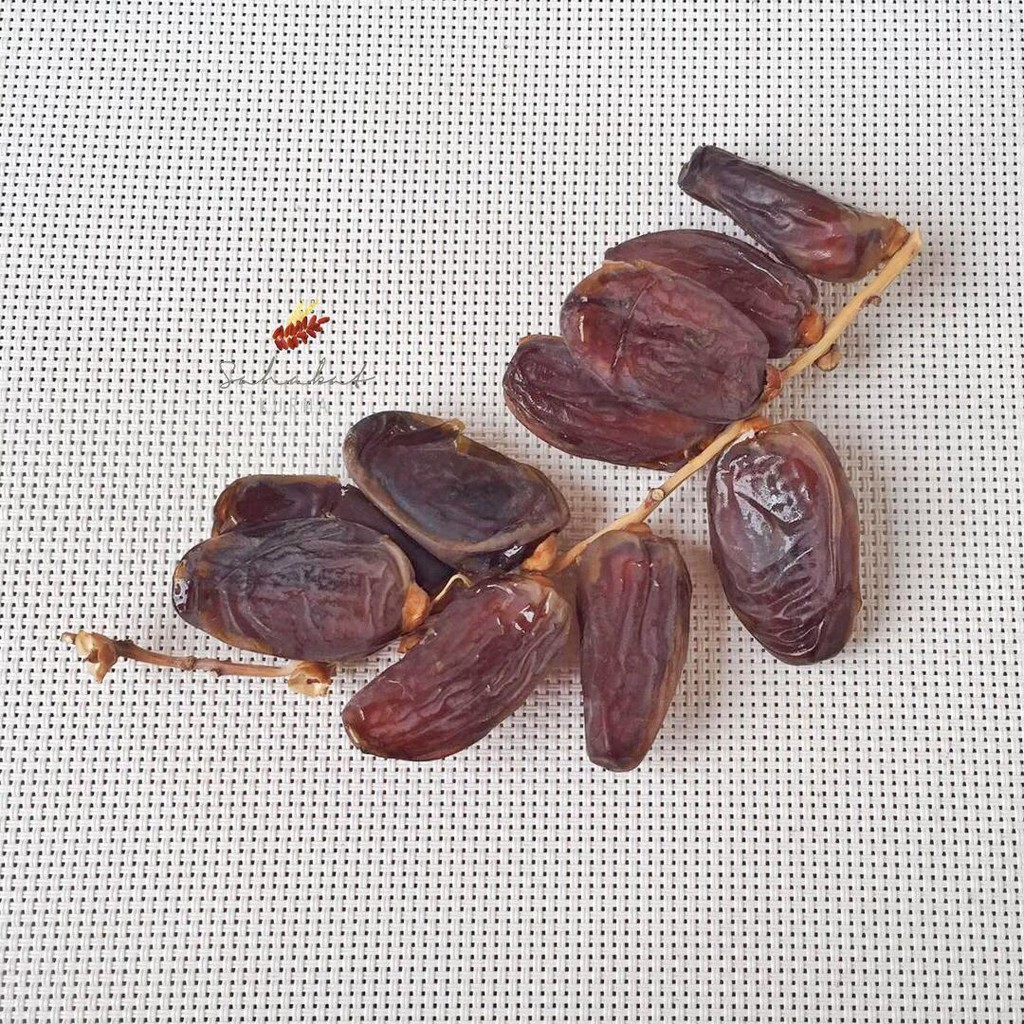 

Kurma Tunis Tangkai