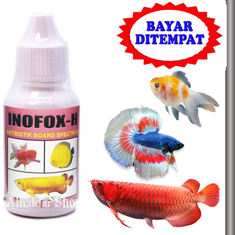 VITAMIN IKAN CUPANG HIAS ANTIBIOTIK IKAN HIAS GURAME MAS KOKI ARWANA INOFOX H