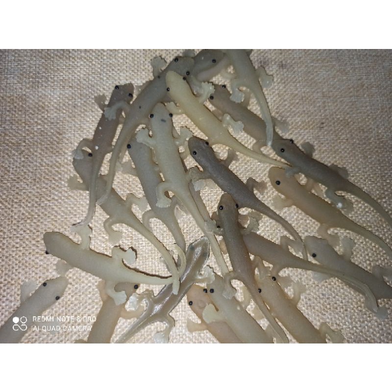 mainan cicak karet reject