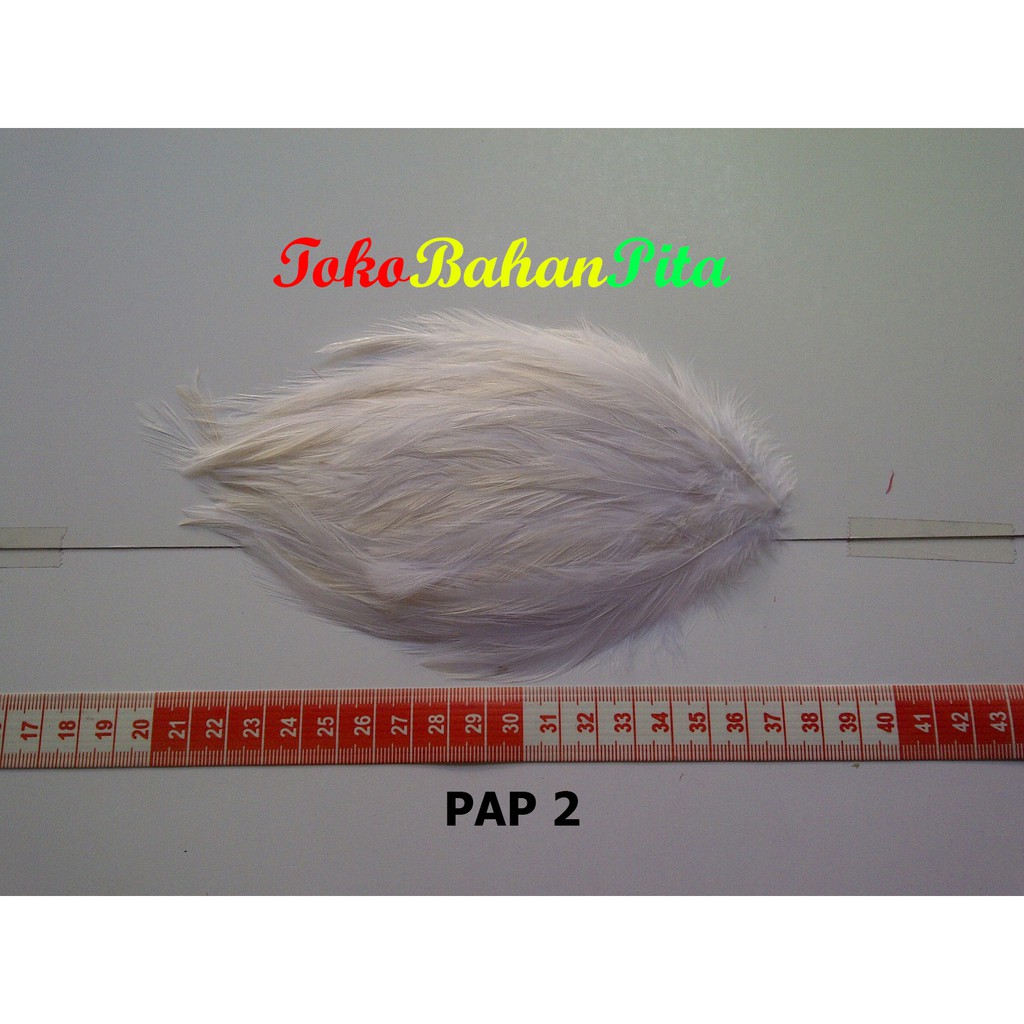 [1 PCS] BULU PAD POLOS PUTIH PAP 2 | BULU AYAM | BULU HIAS | BULU CRAFT | TOKO BAHAN PITA