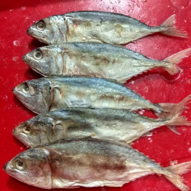 

ikan asin peda