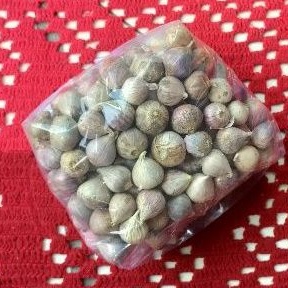 

(Fresh) Bawang putih tunggal / Bawang Lanang / Bawang Tunggal / Bawang Jamu / Bawang Herbal