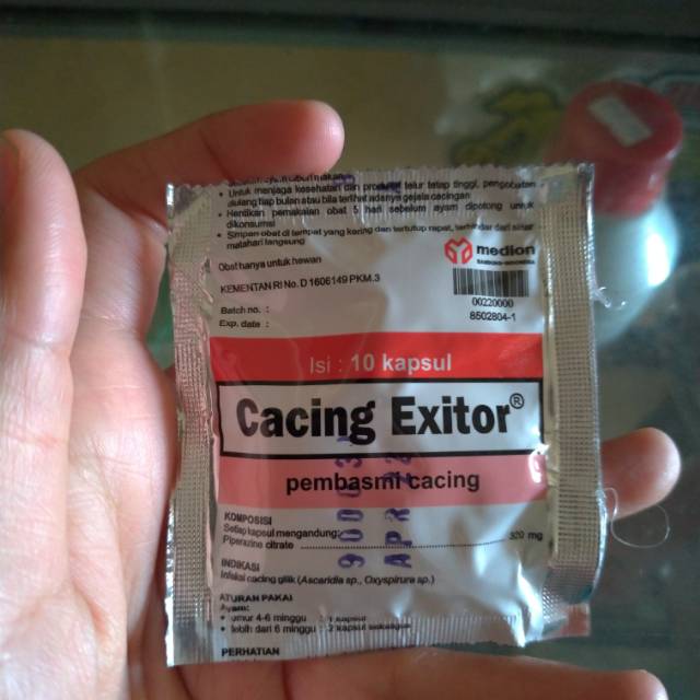 CACING EXITOR OBAT CACING AYAM 10 kapsul