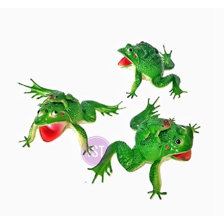 mwn.toys Frog Kodok bunyi Karet