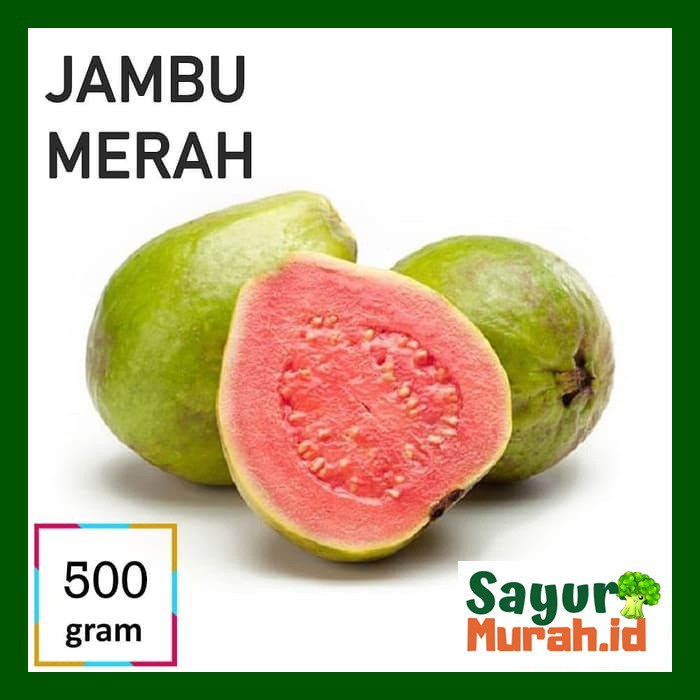 

JAMBU MERAH - BAHAN JUS [500g]