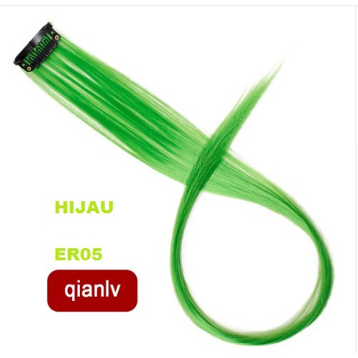 Hair Extension Single Clip ER