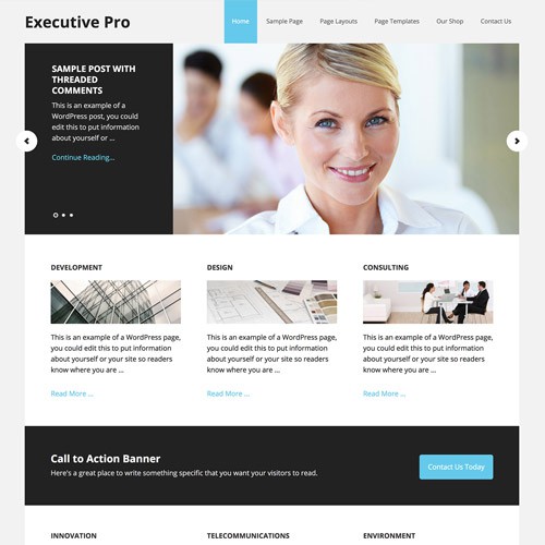StudioPress Executive Pro Genesis  Theme