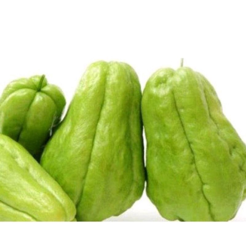 

LABU SIAM BESAR PERBIJI