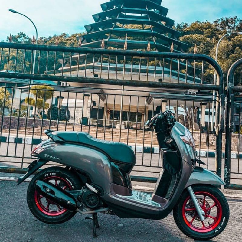 KULIT JOK CAFERACER SCOOPY