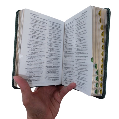 NIV Ukuran Kecil TB 034 Bible Compact New International Version LAI Bahasa Inggris