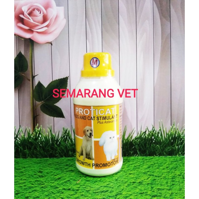 Vitamin Kucing Gemuk dan Bulu Lebat Vitamin Kucing Bulu Rontok Suplemen Kucing Penggemuk Suplemen Ku