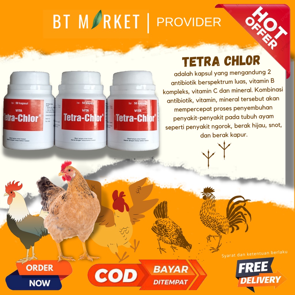 TETRA CHLOR 50 KAPSUL