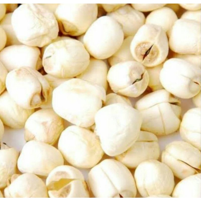 

biji teratai lotus 200 gram