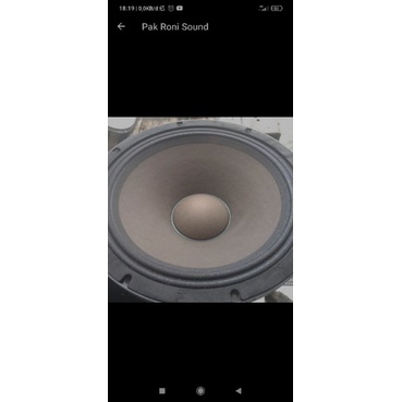 Speaker 18 Inch B&C Original Second