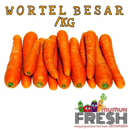 

wortel import 1 kg