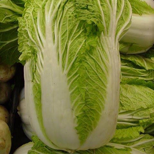 

Sawi (Napa Cabbage) 1 kg - sayur curah