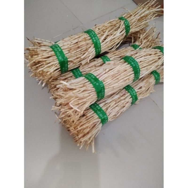 

Terlaris Akar Alang Alang Segar