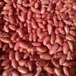 

KACANG SENEREK/ KACANG MERAH 250 g