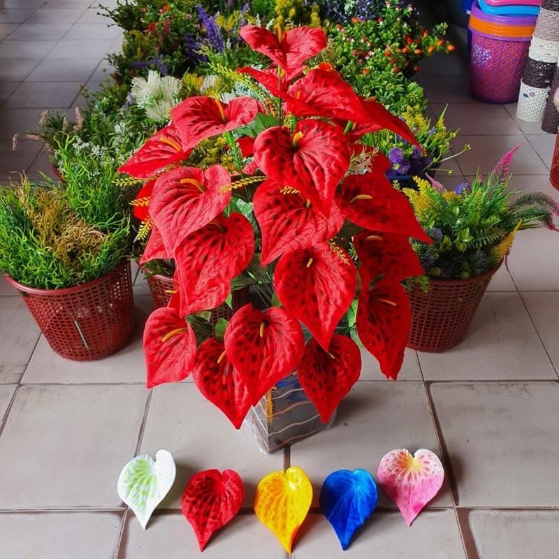 bunga Aron panda/bunga keladi 24bunga 60cm tanpa pot