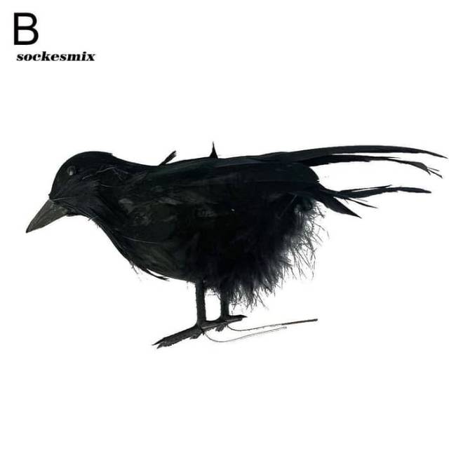 5300 Sketsa Gambar Burung Gagak Terbaik