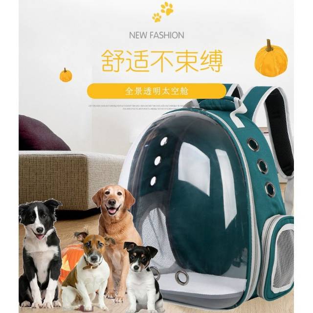 Pet carrier tas ransel jinjing anjing kucing dog cat kennel box travel portable tranparan0