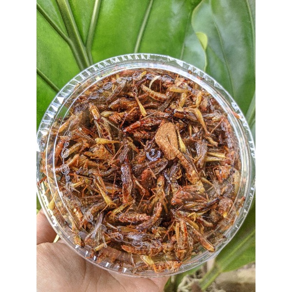

BELALANG GORENG GURIH TIDAK PEDAS kemasan toples nastar