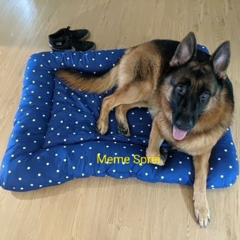 Kasur Anjing XL 80x110cm Dog Bed XL untuk Anjing Besar