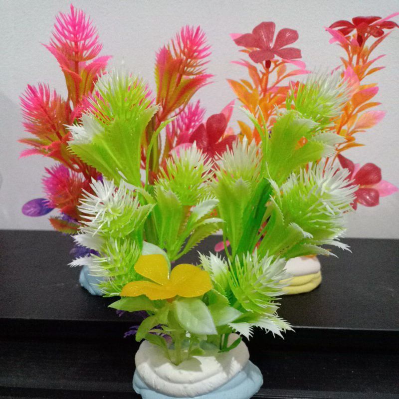 tanaman hias aquarium sedang mainan ikan rumput hias