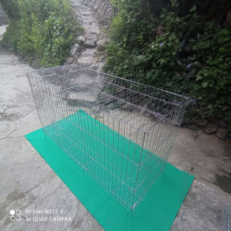 KANDANG BOX AYAM JAGO