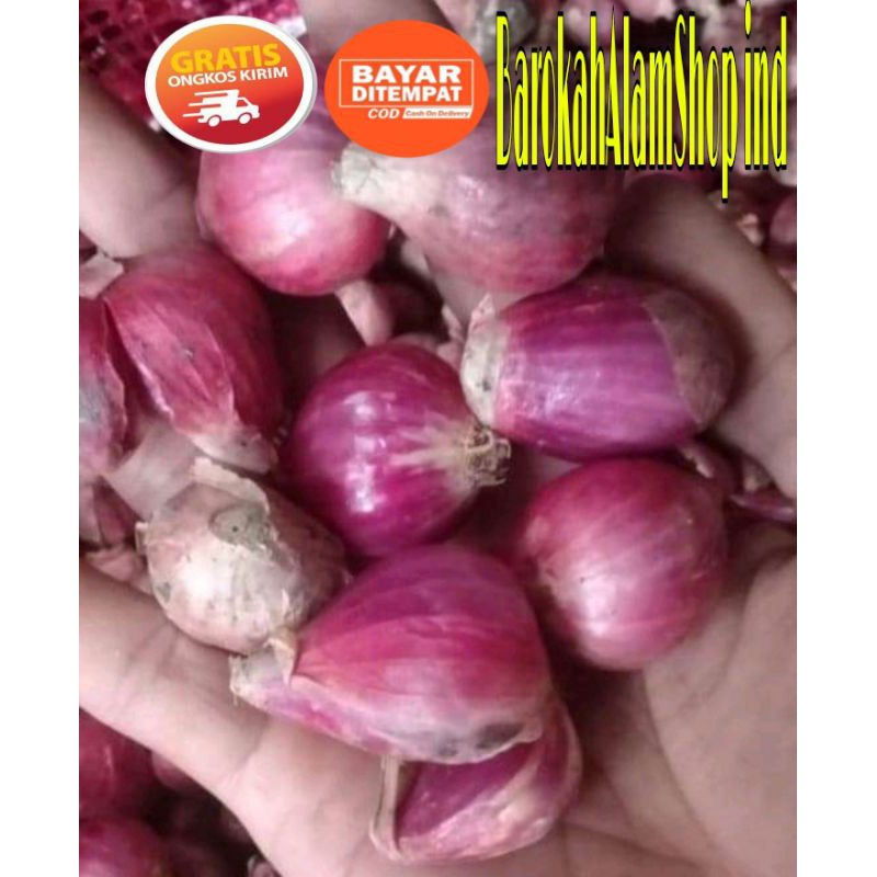 

BAWANG MERAH BREBES