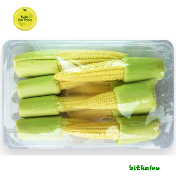 

Jagung baby Organik 200 gr (PO)