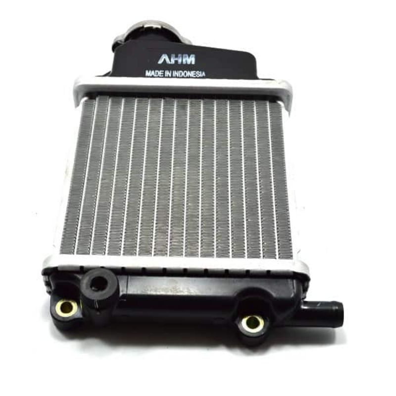 RADIATOR COMP VARIO 110 CARBU 19010KVBN51