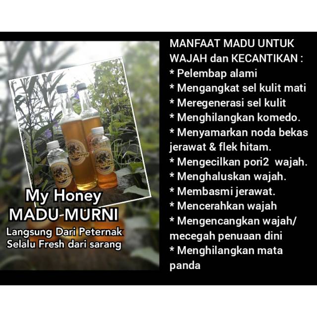 

My HONEY, MADU MURNI - MADU RANDU, langsung dipanen dari sarang.