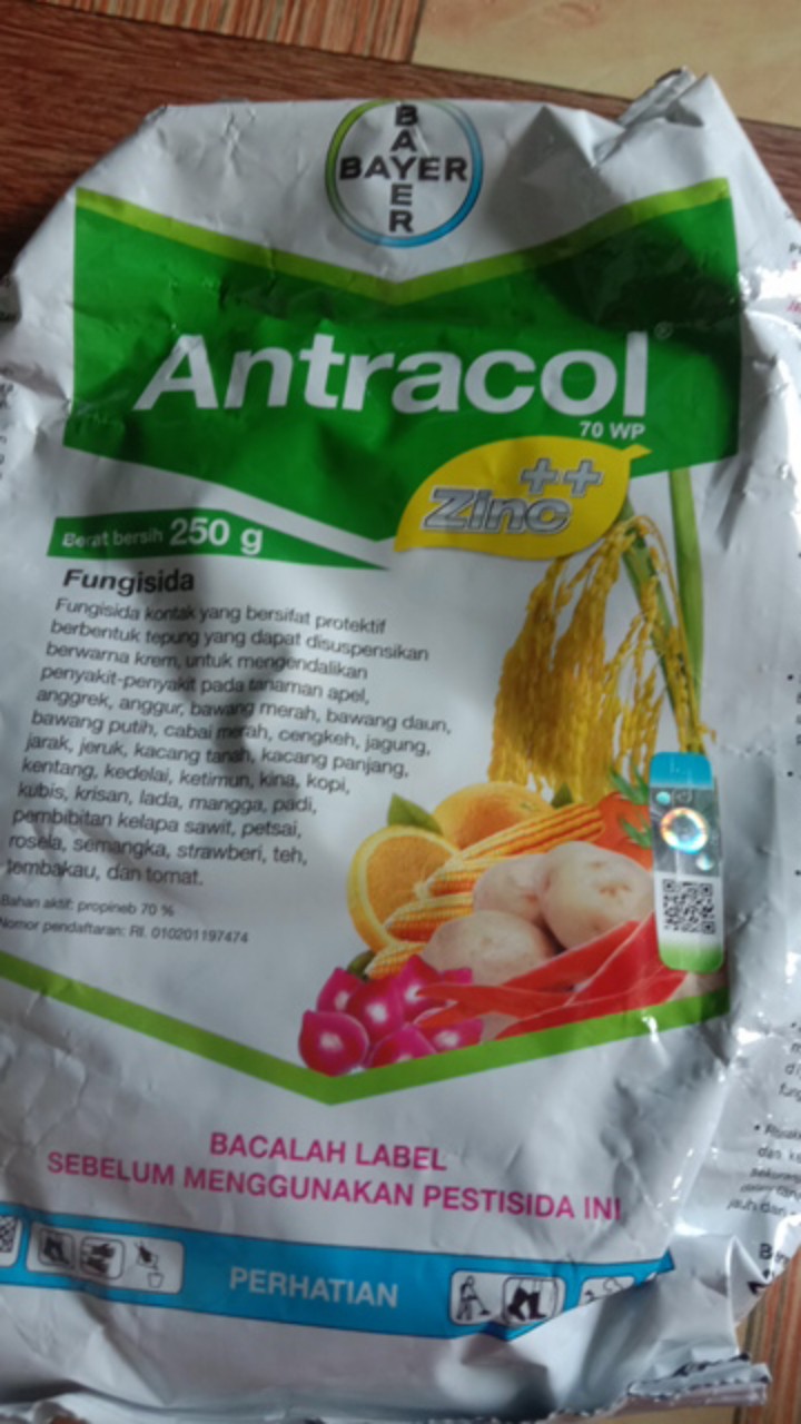 Fungisida Antracol 70 Wp 250gr