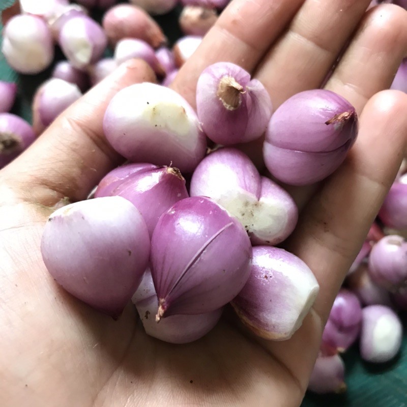 

Bawang Merah (Selesai Kupas) 1 kg