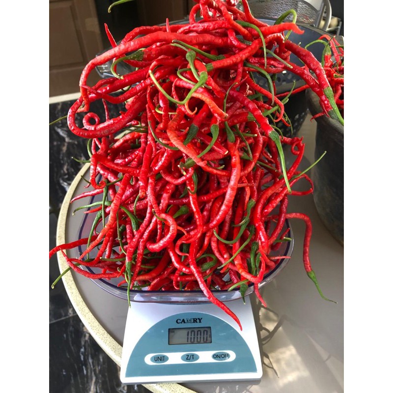 

Cabe merah keriting super 100 gram