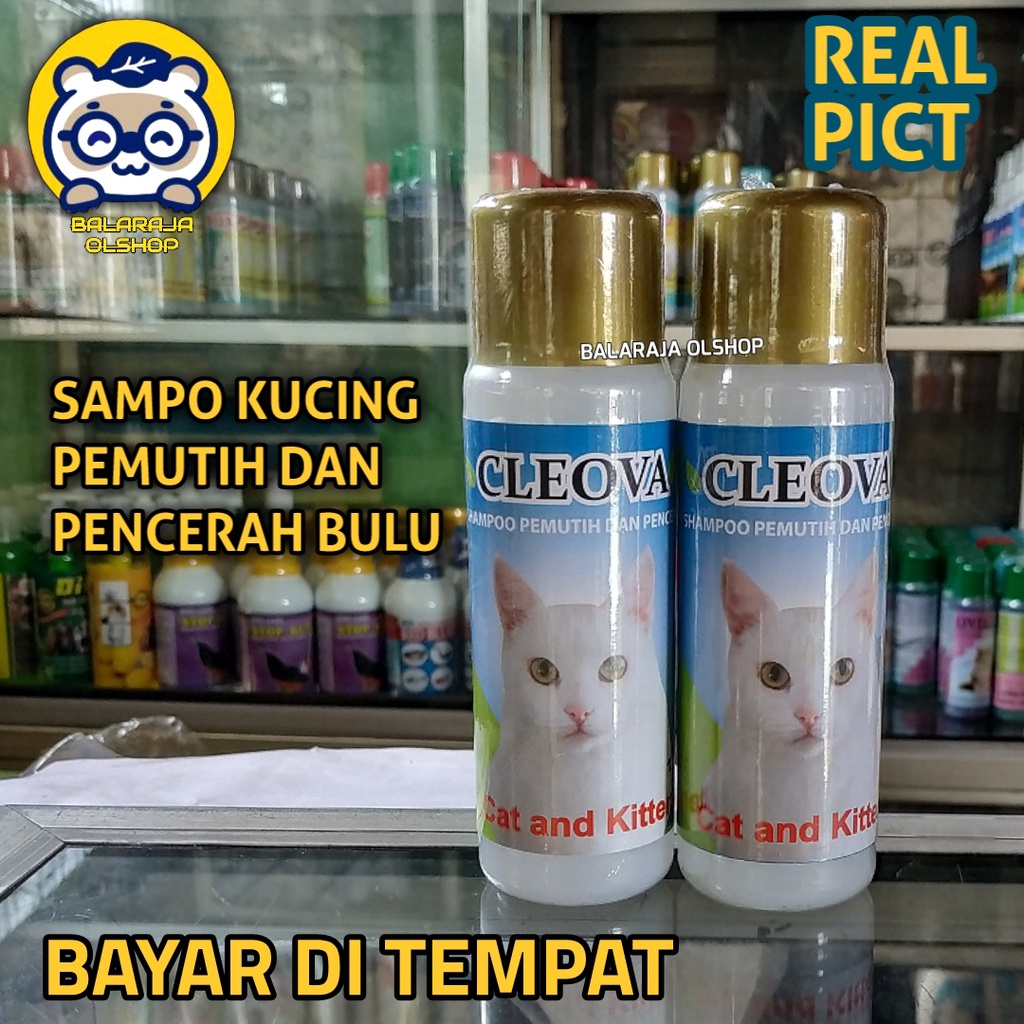 SAMPO KUCING KHUSUS BULU PUTIH CLEOVA CAT 125 SAMPO PEMUTIH KUCING