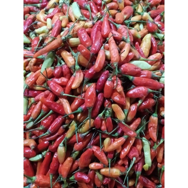 

Cabe Rawit merah 1kg