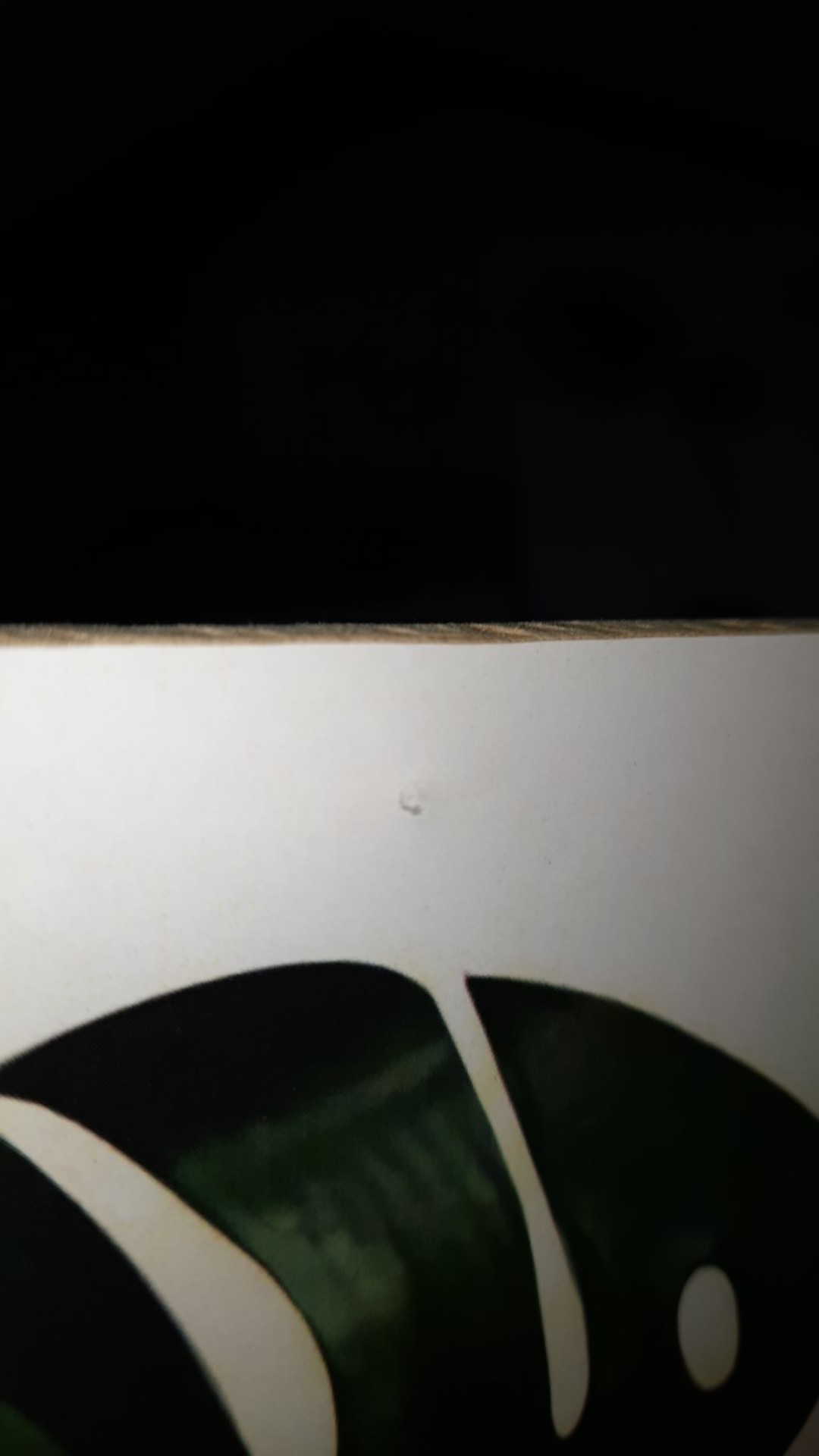 Hiasan Dinding Kata Poster Kayu Quotes Cafe Vintage Wall Decor Ruangan Dekorasi Rumah Leaf Lf33