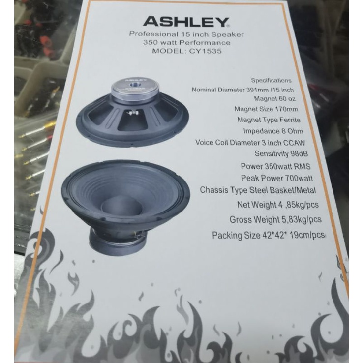 Speaker 15 inc Ashley CY1535