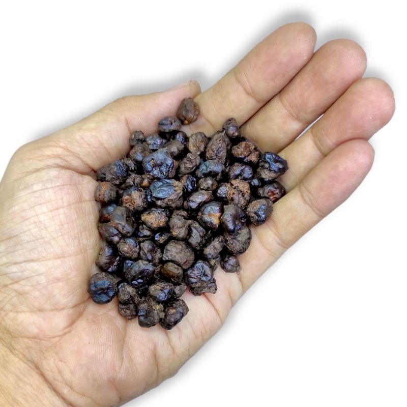 

kopi jagung lampung 1 kg bukan kopi luwak kopi hitam murah corn coffee bean biji atau bubuk 1000 gr