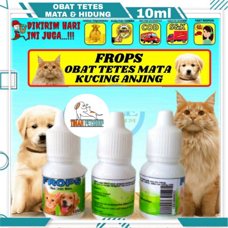 Obat Tetes Mata Dan Hidung Kucing Anjing FROPS