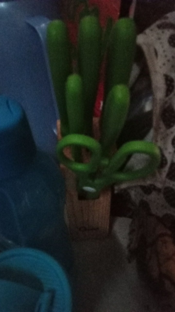 Oxone Pisau Set Ox-961 Ox 961 Knife Pink Hijau Biru