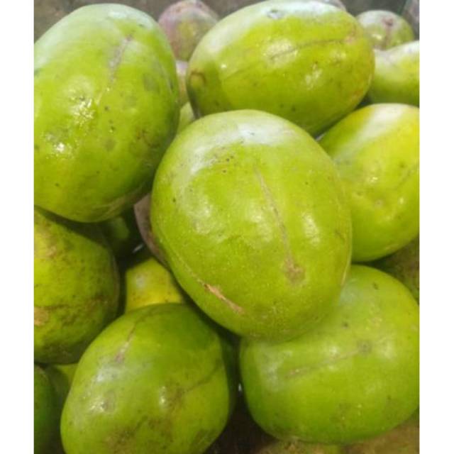 Jual Buah Kedongdong 1kg Best Buah Segar Bandungnuri Fruitskedongdongbuah Bandungbuah Segar 2856