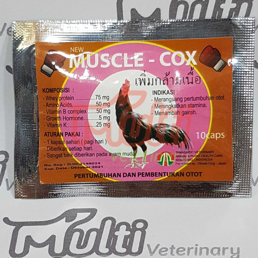 MUSCLE COX 10 caps Obat Vitamin Pertumbuhan dan Pembentukan Otot Stamina Protein Asam Amino Hormon