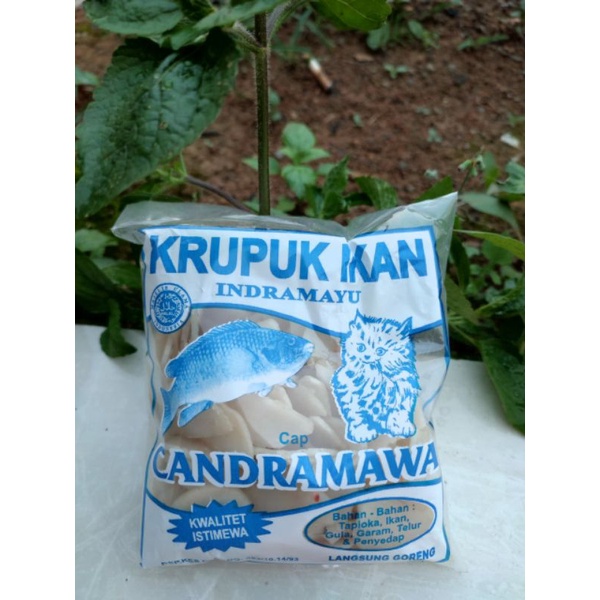 

kerupuk Ikan