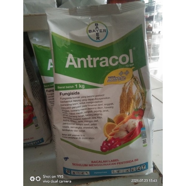Antracol 1KG