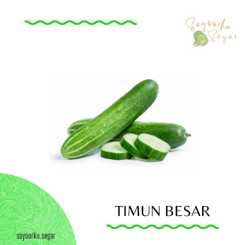 

KIRIM BESOK Timun Besar / Timun Acar / Timun Baby / Timun Lalap